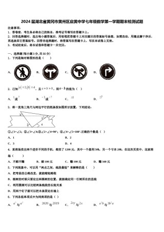 2024届湖北省黄冈市黄州区启黄中学七年级数学第一学期期末检测试题含解析.doc