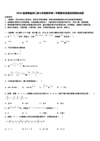 2024届湖南省安仁县七年级数学第一学期期末质量检测模拟试题含解析.doc
