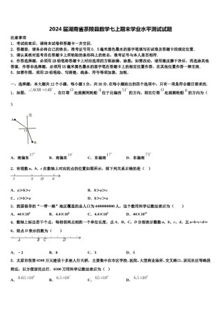 2024届湖南省茶陵县数学七上期末学业水平测试试题含解析.doc