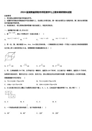 2024届湖南省邵阳市郊区数学七上期末调研模拟试题含解析.doc