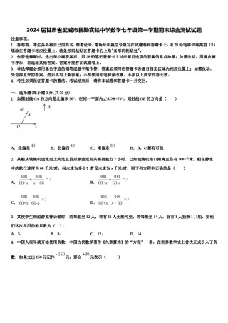 2024届甘肃省武威市民勤实验中学数学七年级第一学期期末综合测试试题含解析.doc