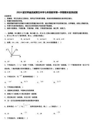 2024届甘肃省武威第五中学七年级数学第一学期期末监测试题含解析.doc