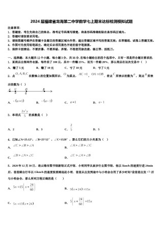 2024届福建省龙海第二中学数学七上期末达标检测模拟试题含解析.doc