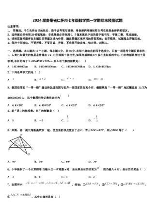 2024届贵州省仁怀市七年级数学第一学期期末预测试题含解析.doc
