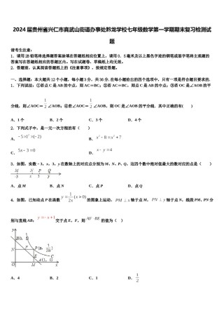 2024届贵州省兴仁市真武山街道办事处黔龙学校七年级数学第一学期期末复习检测试题含解析.doc