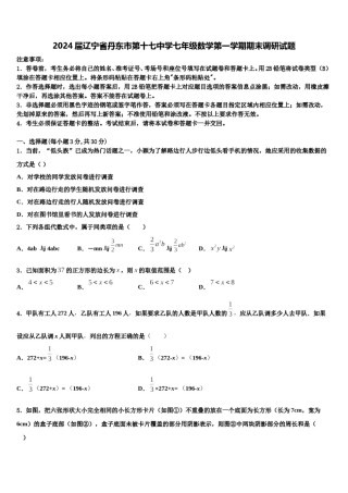 2024届辽宁省丹东市第十七中学七年级数学第一学期期末调研试题含解析.doc