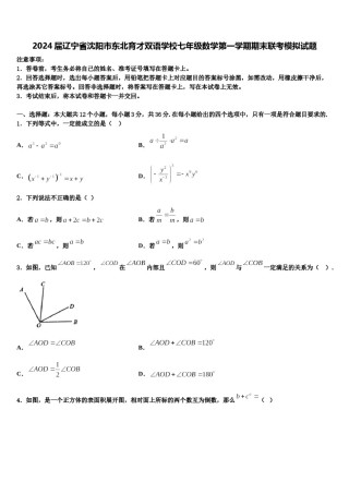 2024届辽宁省沈阳市东北育才双语学校七年级数学第一学期期末联考模拟试题含解析.doc