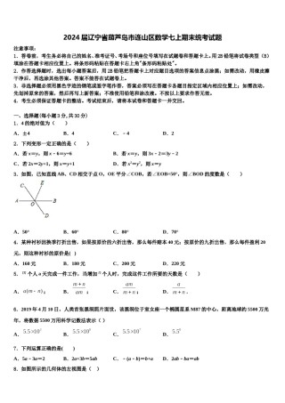 2024届辽宁省葫芦岛市连山区数学七上期末统考试题含解析.doc