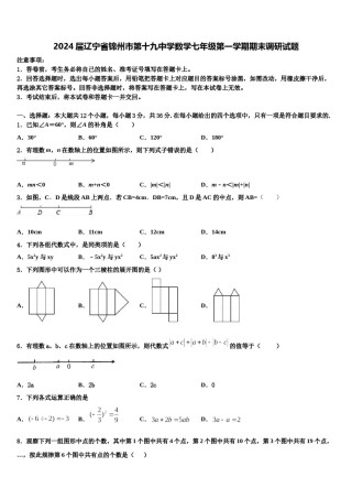 2024届辽宁省锦州市第十九中学数学七年级第一学期期末调研试题含解析.doc