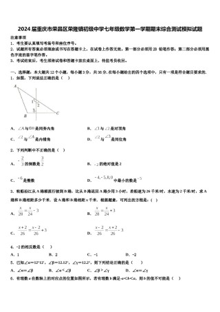 2024届重庆市荣昌区荣隆镇初级中学七年级数学第一学期期末综合测试模拟试题含解析.doc