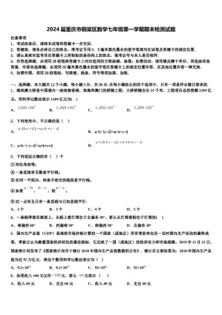 2024届重庆市铜梁区数学七年级第一学期期末检测试题含解析.doc