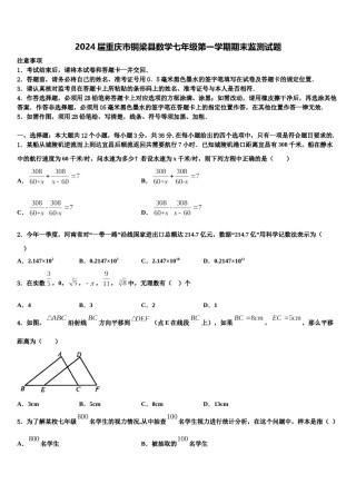 2024届重庆市铜梁县数学七年级第一学期期末监测试题含解析.doc
