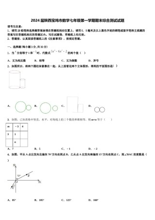 2024届陕西宝鸡市数学七年级第一学期期末综合测试试题含解析.doc