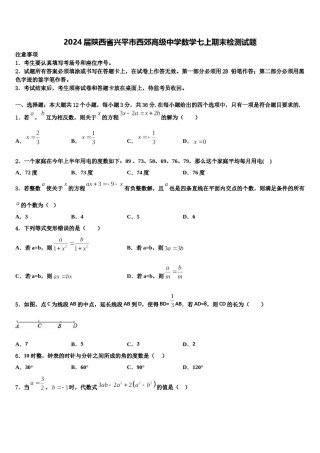 2024届陕西省兴平市西郊高级中学数学七上期末检测试题含解析.doc
