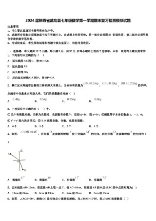 2024届陕西省武功县七年级数学第一学期期末复习检测模拟试题含解析.doc