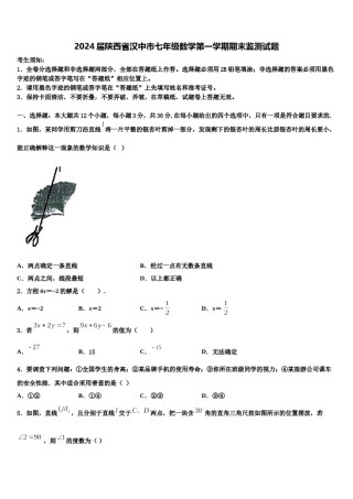 2024届陕西省汉中市七年级数学第一学期期末监测试题含解析.doc