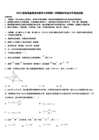 2024届青海省果洛市数学七年级第一学期期末学业水平测试试题含解析.doc