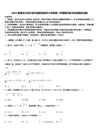 2024届黑龙江哈尔滨市道里区数学七年级第一学期期末复习检测模拟试题含解析.doc