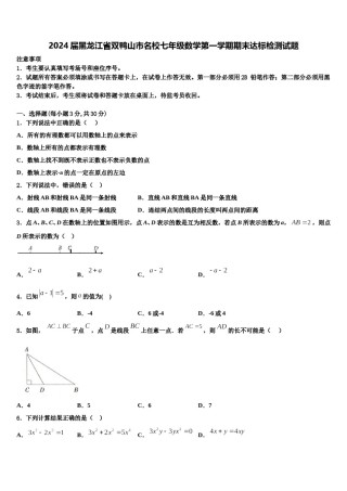 2024届黑龙江省双鸭山市名校七年级数学第一学期期末达标检测试题含解析.doc