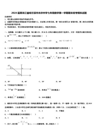 2024届黑龙江省哈尔滨市光华中学七年级数学第一学期期末统考模拟试题含解析.doc