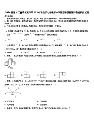 2024届黑龙江省哈尔滨市第113中学数学七年级第一学期期末质量跟踪监视模拟试题含解析.doc