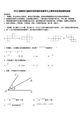 2024届黑龙江省哈尔滨市道外区数学七上期末综合测试模拟试题含解析.doc