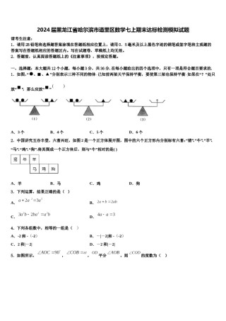 2024届黑龙江省哈尔滨市道里区数学七上期末达标检测模拟试题含解析.doc