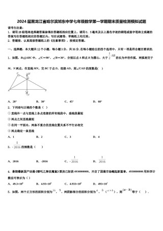 2024届黑龙江省哈尔滨旭东中学七年级数学第一学期期末质量检测模拟试题含解析.doc