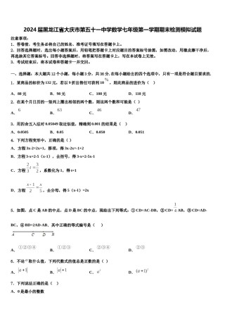 2024届黑龙江省大庆市第五十一中学数学七年级第一学期期末检测模拟试题含解析.doc