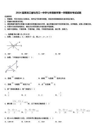 2024届黑龙江省牡丹江一中学七年级数学第一学期期末考试试题含解析.doc
