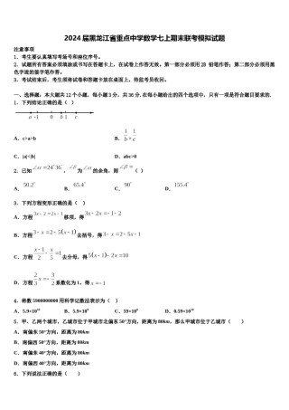 2024届黑龙江省重点中学数学七上期末联考模拟试题含解析.doc