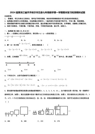 2024届黑龙江省齐齐哈尔市五县七年级数学第一学期期末复习检测模拟试题含解析.doc