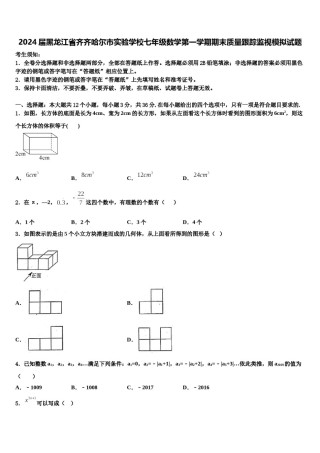 2024届黑龙江省齐齐哈尔市实验学校七年级数学第一学期期末质量跟踪监视模拟试题含解析.doc