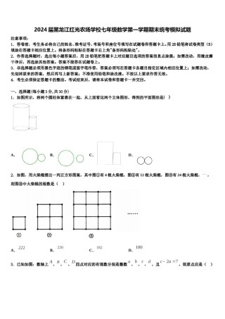 2024届黑龙江红光农场学校七年级数学第一学期期末统考模拟试题含解析.doc