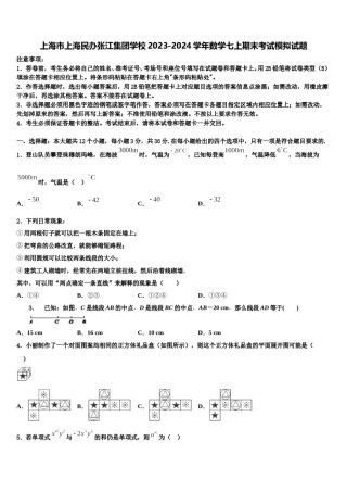 上海市上海民办张江集团学校2023-2024学年数学七上期末考试模拟试题含解析.doc