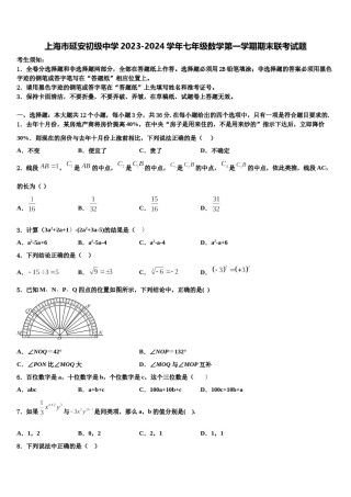 上海市延安初级中学2023-2024学年七年级数学第一学期期末联考试题含解析.doc