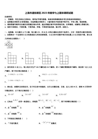 上海市浦东新区2023年数学七上期末调研试题含解析.doc