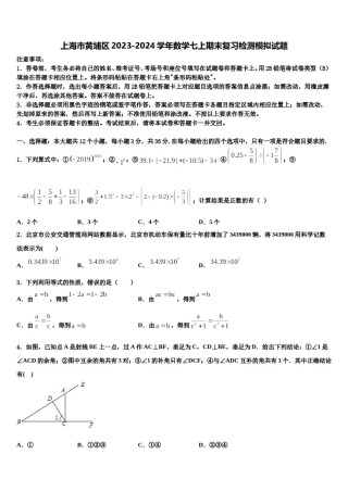 上海市黄埔区2023-2024学年数学七上期末复习检测模拟试题含解析.doc