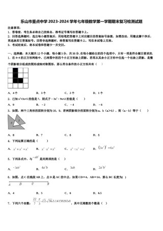 乐山市重点中学2023-2024学年七年级数学第一学期期末复习检测试题含解析.doc