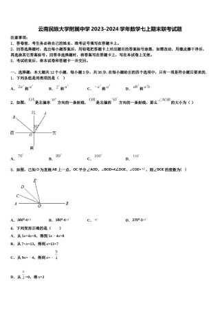 云南民族大学附属中学2023-2024学年数学七上期末联考试题含解析.doc