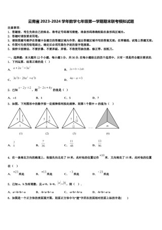 云南省2023-2024学年数学七年级第一学期期末联考模拟试题含解析.doc