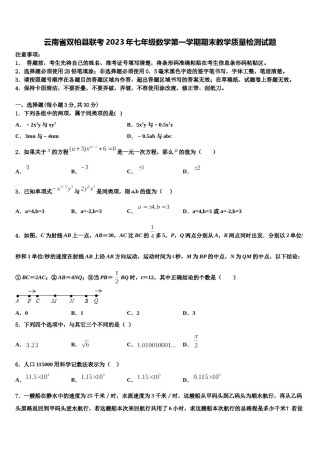 云南省双柏县联考2023年七年级数学第一学期期末教学质量检测试题含解析.doc