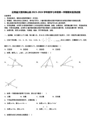 云南省大理州巍山县2023-2024学年数学七年级第一学期期末监测试题含解析.doc