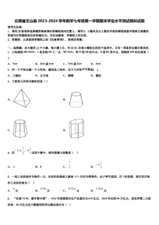云南省文山县2023-2024学年数学七年级第一学期期末学业水平测试模拟试题含解析.doc