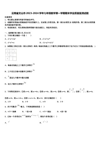 云南省文山市2023-2024学年七年级数学第一学期期末学业质量监测试题含解析.doc