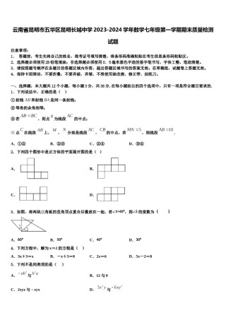 云南省昆明市五华区昆明长城中学2023-2024学年数学七年级第一学期期末质量检测试题含解析.doc