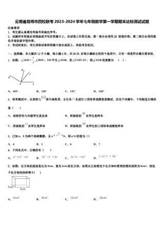 云南省昆明市四校联考2023-2024学年七年级数学第一学期期末达标测试试题含解析.doc