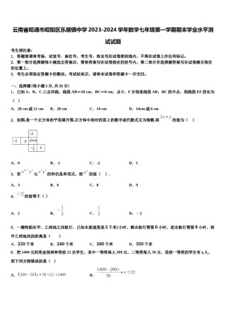 云南省昭通市昭阳区乐居镇中学2023-2024学年数学七年级第一学期期末学业水平测试试题含解析.doc
