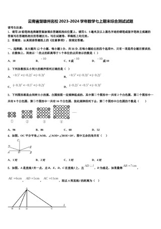 云南省楚雄州名校2023-2024学年数学七上期末综合测试试题含解析.doc
