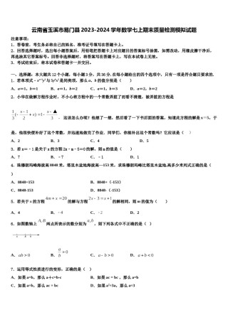 云南省玉溪市易门县2023-2024学年数学七上期末质量检测模拟试题含解析.doc